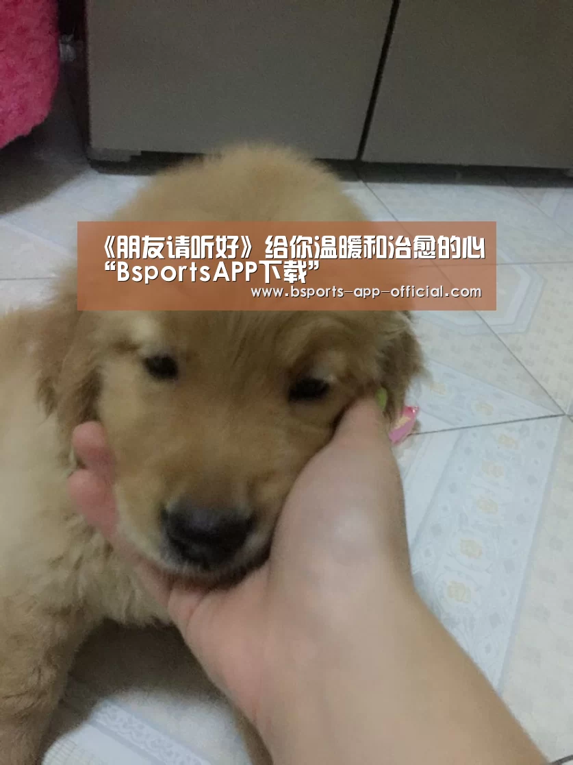 《朋友请听好》给你温暖和治愈的心“BsportsAPP下载”