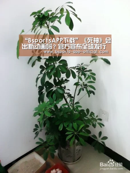 Bsports下载