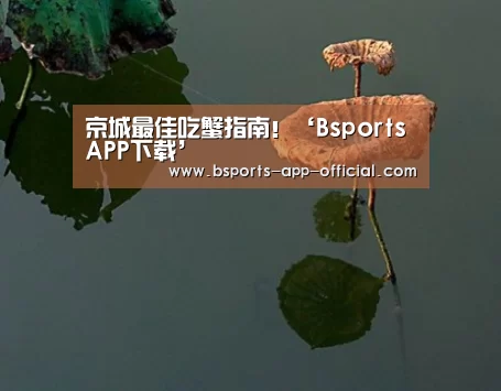 京城最佳吃蟹指南!‘BsportsAPP下载’(图2) BsportsAPP下载