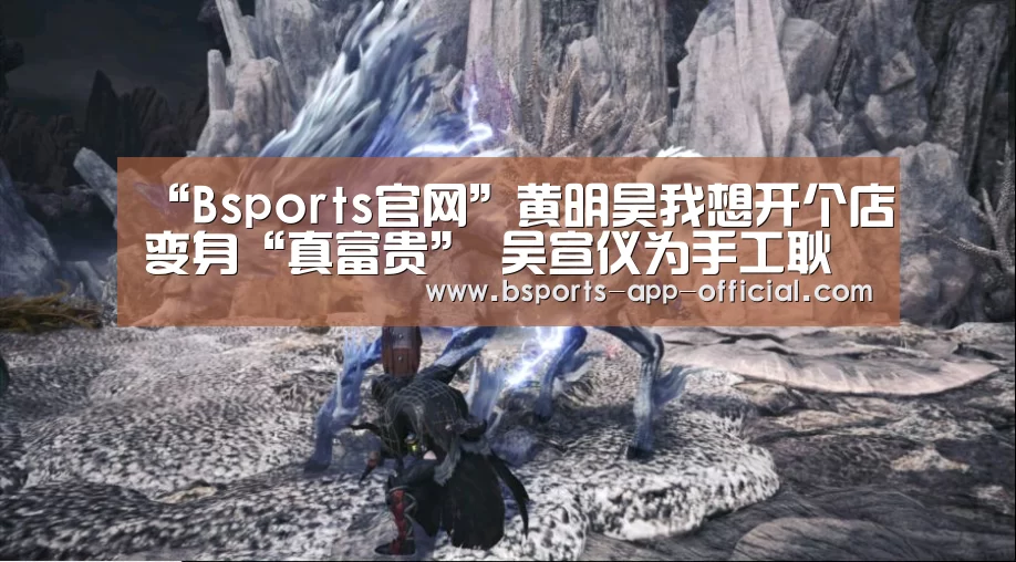 Bsports官方入口