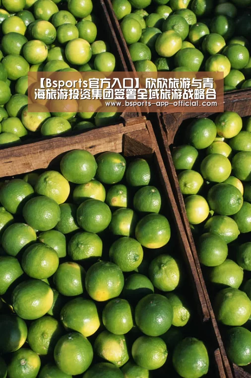 【Bsports官方入口】欣欣旅游与青海旅游投资集团签署全域旅游战略合作协议(图1) Bsports官网