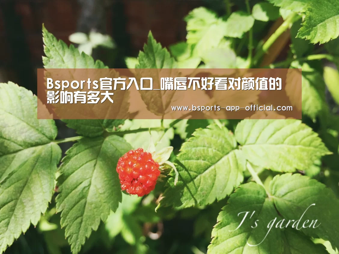 Bsports下载