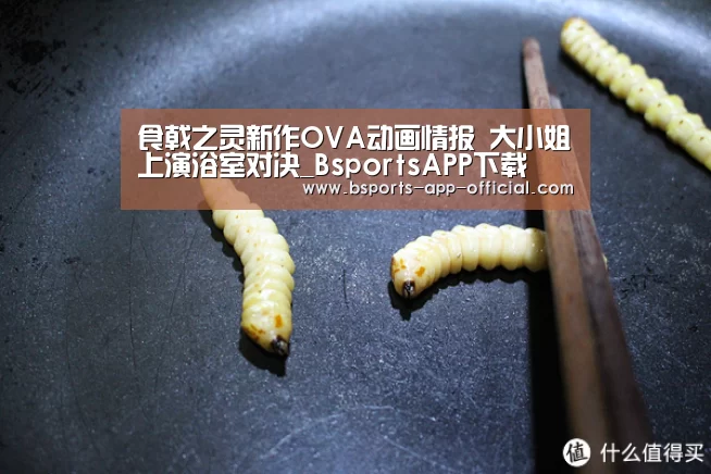 Bsports下载