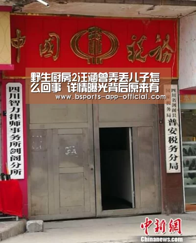 Bsports官方入口