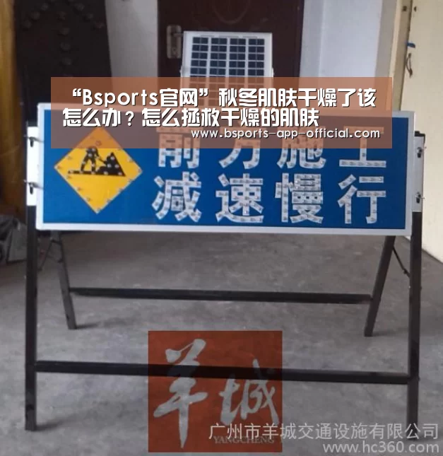 Bsports官网