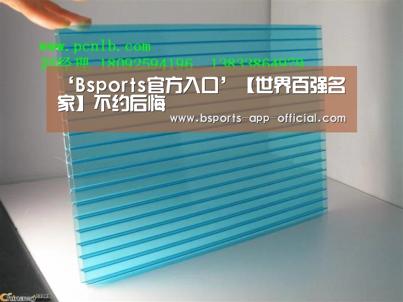 Bsports下载