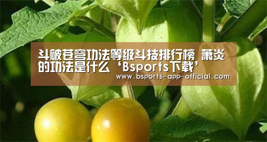 斗破苍穹功法等级斗技排行榜 萧炎的功法是什么‘Bsports