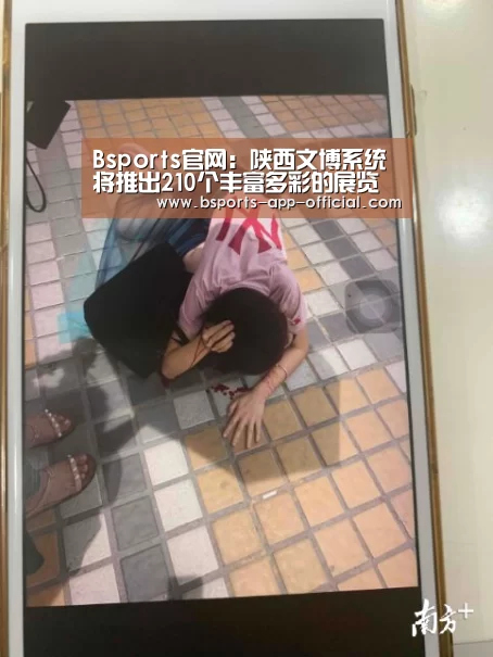 Bsports官网:陕西文博系统将推出210个丰富多彩的展览项目和互动体验活动(图1) Bsports下载