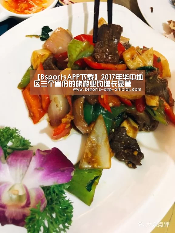 Bsports官方入口