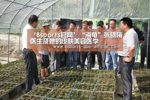 Bsports官方入口