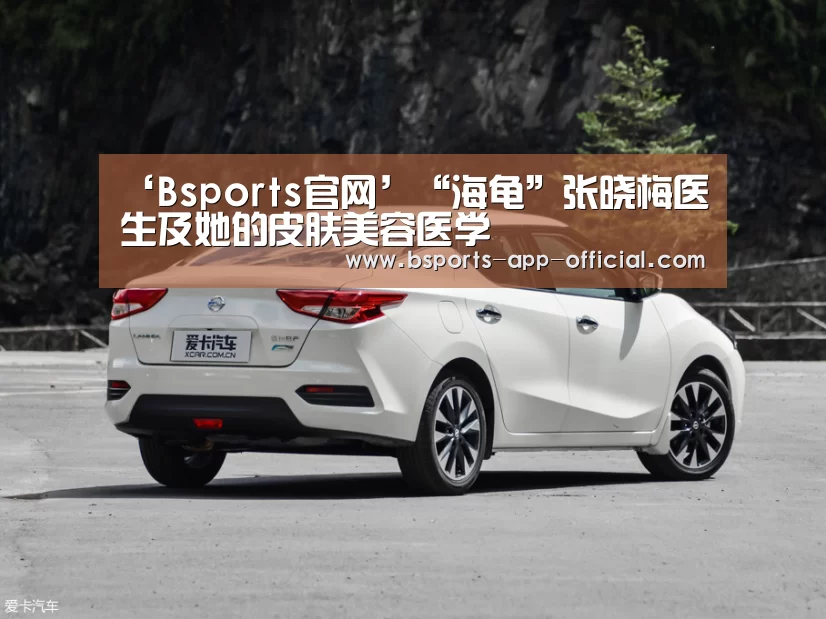 Bsports官方入口