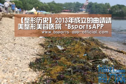 BsportsAPP下载